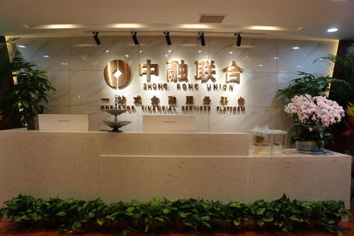 西安中融聯(lián)合商務(wù)信息咨詢(xún)